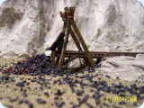 2004_0317_26