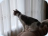 2007_09_07_180549