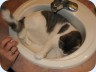 20071204_0001