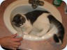 20071204_0006