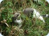 2007_10_08_103637