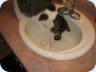 20080321_0002