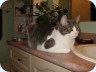 20080321_0005