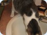 20080321_0009