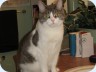 20080321_0012