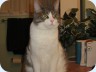 20080321_0017