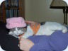 2008_02_11_190937