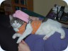 2008_02_11_190958