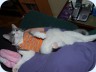 2008_02_11_191318