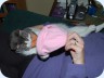 2008_02_11_191548