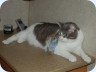 2008_08_17_093348