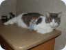 2008_08_17_093455