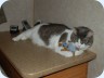 2008_08_17_093510