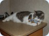 2008_08_17_093520
