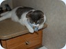 2008_08_17_093723