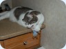 2008_08_17_093737