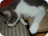 2008_08_17_093855