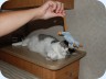 2008_08_17_093957