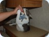 2008_08_17_094017