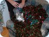2009_12_14_194542