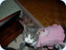 2010_12_16_172829