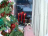 2010_12_17_080628