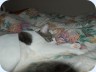 2012_02_26_173049