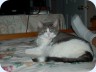 2012_02_26_181057