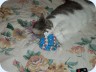 2012_02_26_203620