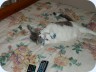 2012_02_26_203630