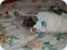 2012_02_26_203704