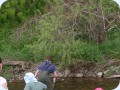 2006_05_28_124741