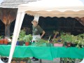 2006_05_28_133603